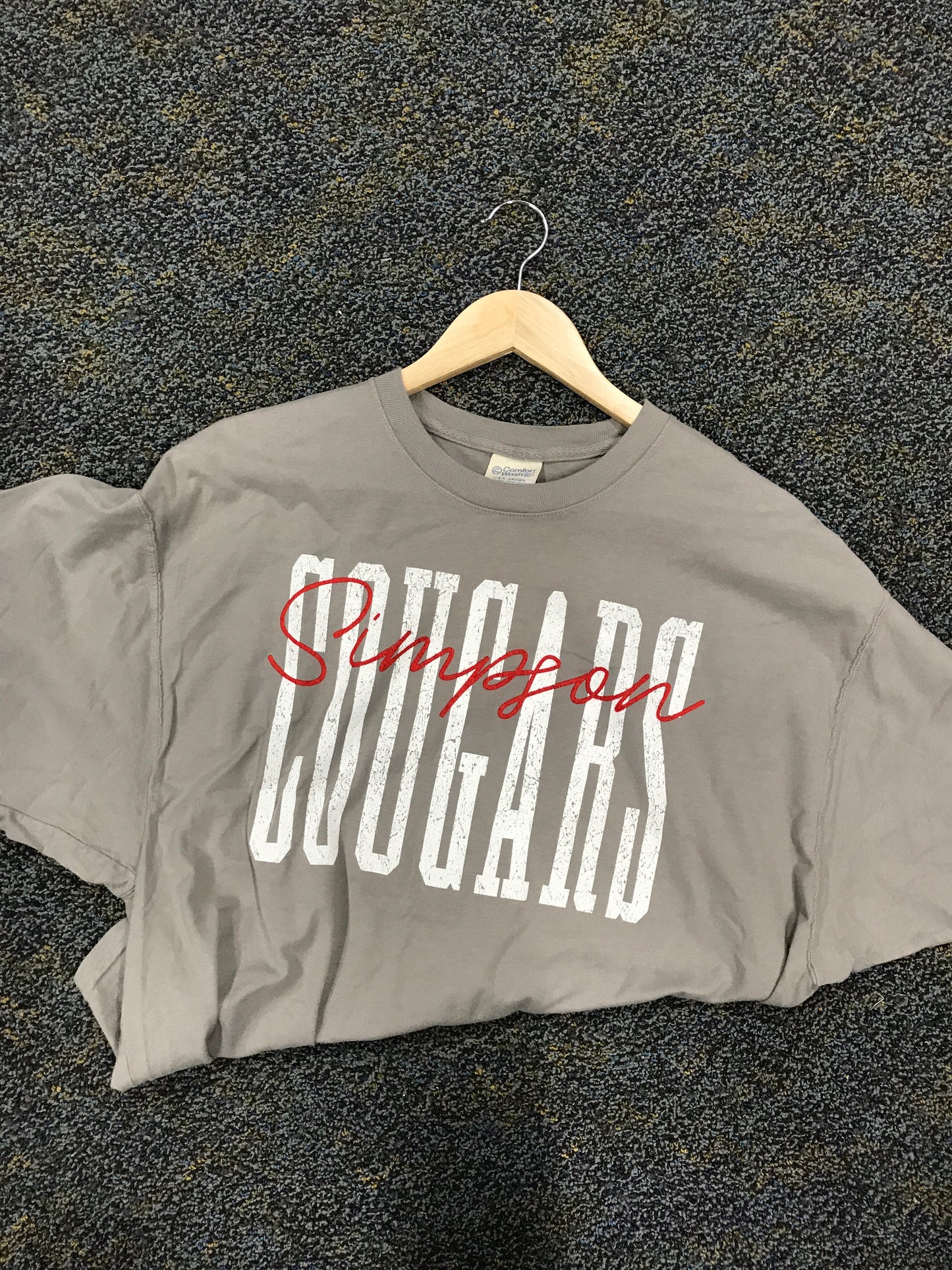 Adult Grey T-shirt (crop)